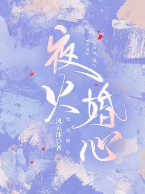 夜火婚心全本免费阅读