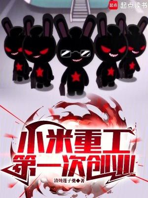 小米如何在一年内完成逆转?