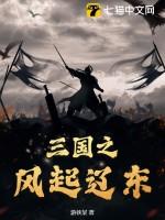 三国之风起海南