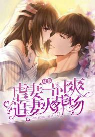 总裁虐文追妻火葬场