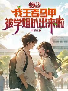 王者游戏马甲