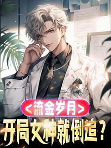 流金岁月什么