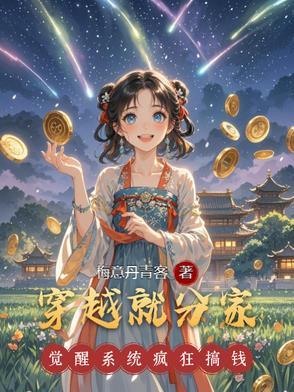 穿越到一起分家的