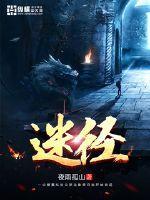 迷径之上 电视剧在线观看