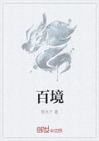 百境盈嘉电子商务(上海)有限公司