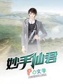神仙妙手的意思