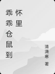 仓鼠随叫随到的视频