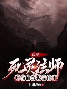 死灵法师完本