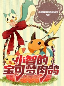 宝可梦all小智