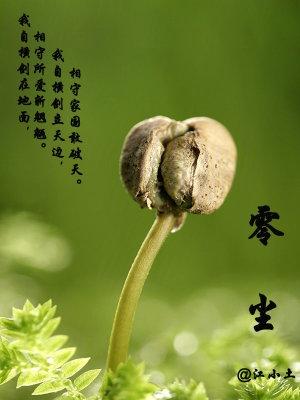 零尘框架