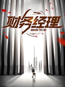 财务经理个人工作总结
