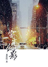 电光幻影娱乐圈TXT