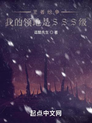 王者纷争我的领地是sss级