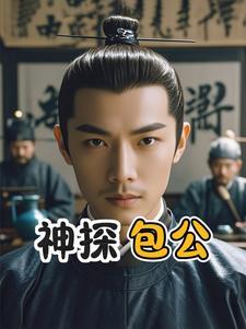 神探包青天包兴