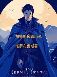布鲁斯问