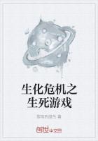 生化危机4完美游戏成就