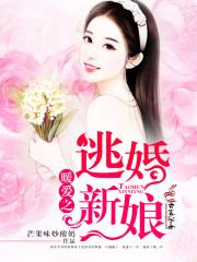 暖爱之撩妻至上全文阅读