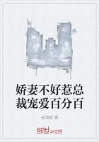 总裁娇妻不好惹 陈慕剧场