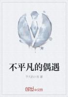 不平凡的相遇作文