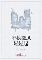 微风轻轻的起