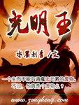 光明王者紫川完整版