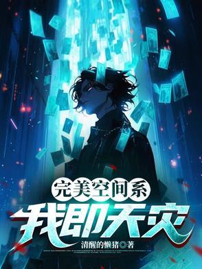 完美空间系我即天灾
