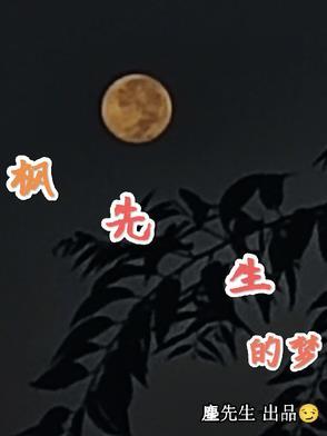 枫先生的撒娇精又奶又甜
