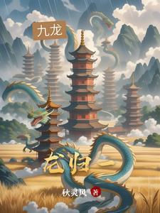 龙归一号最建议买的5款茶
