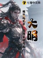 穿越大明风华之我是朱棣