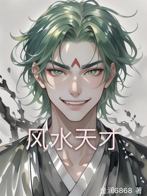 风水天才案图