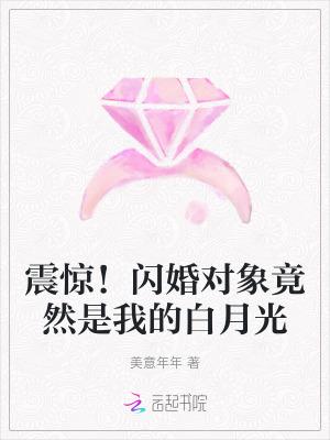 闪婚是种什么体验