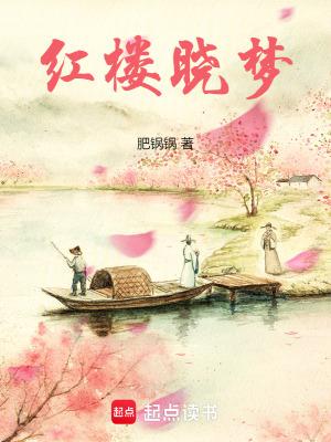 红楼晓梦笔趣阁在线阅读