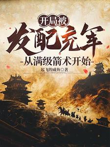从满级箭术开始免动漫