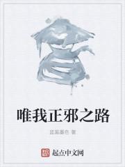 唯我正邪之路笔趣阁免费阅读