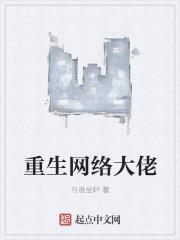 重生网络大佬epub