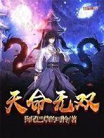 梦三国英霸天命无双