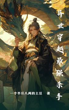 异界最强杀手林天