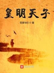 皇明天子吾谁与归txt