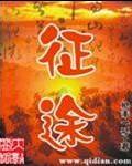 征途 枪手