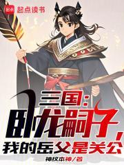 我打造了千年大汉无防盗