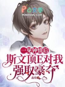 一见钟情强取豪夺高干文
