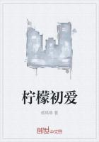 柠檬初上第一集