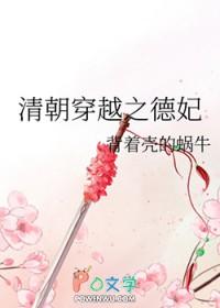 清朝穿越之德妃晋江