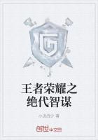 王者荣耀绝代智谋诸葛亮拼图