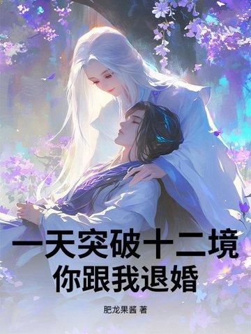 一天突破十二境