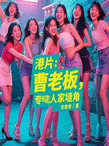 曹老板的十八个全集电视剧情介绍