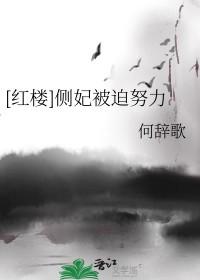 侧妃 庶妃
