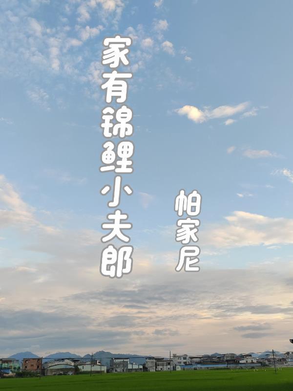 家有小夫郎种田书包网