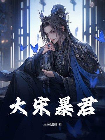 大宋暴君赵构免费阅读
