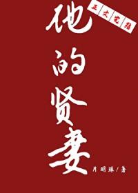 他的贤妻月明珠